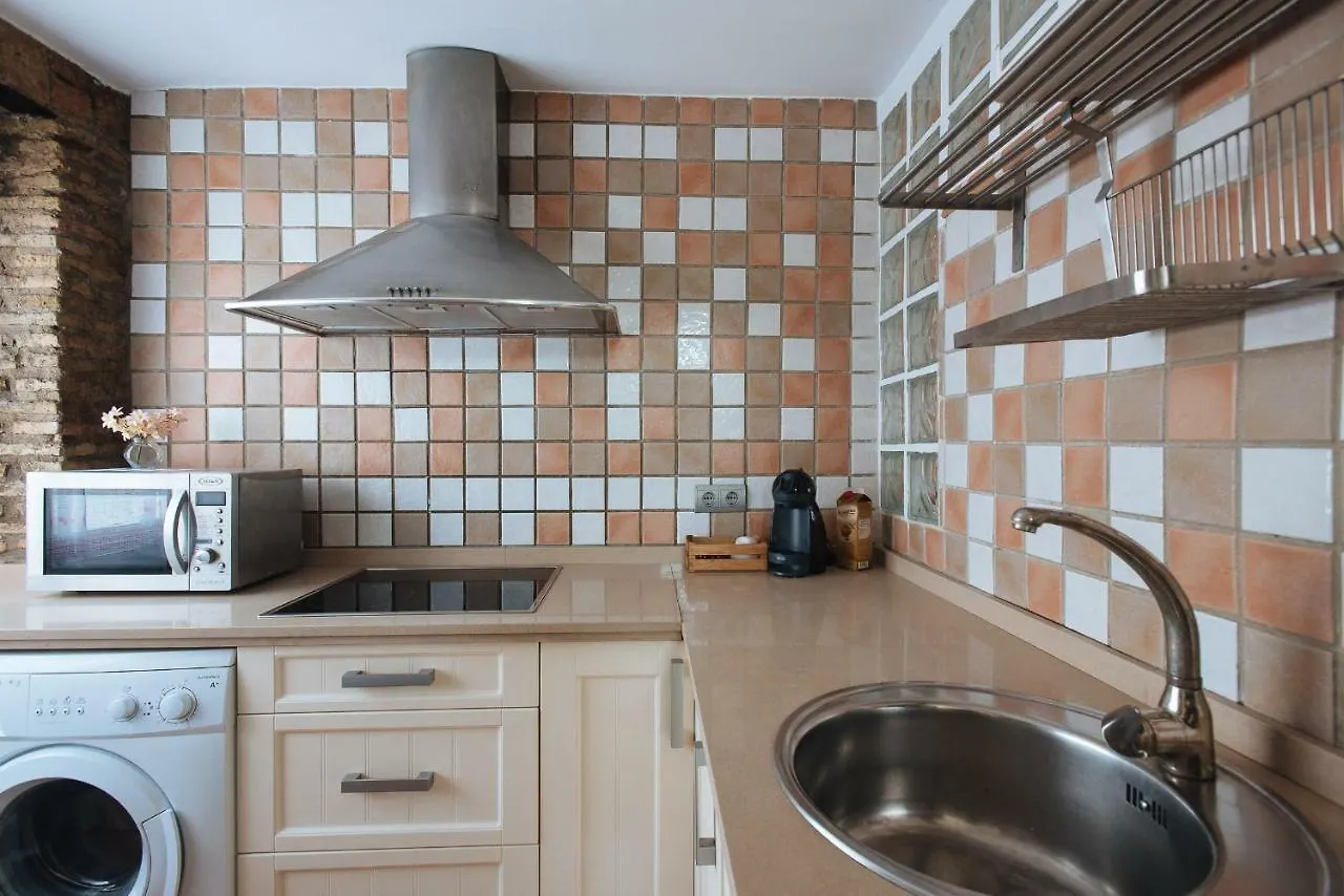 Cozy Attic With Terrace- 1Bd 1Bth- San Vicente Apartment Seville